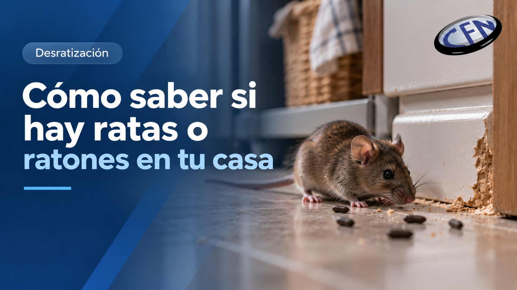 Cómo saber si hay ratas o ratones en casa