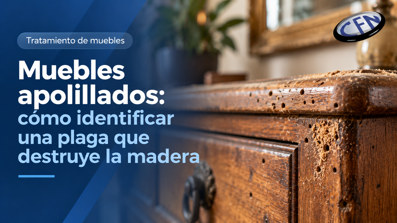 Muebles apolillados: señales de insectos en la madera